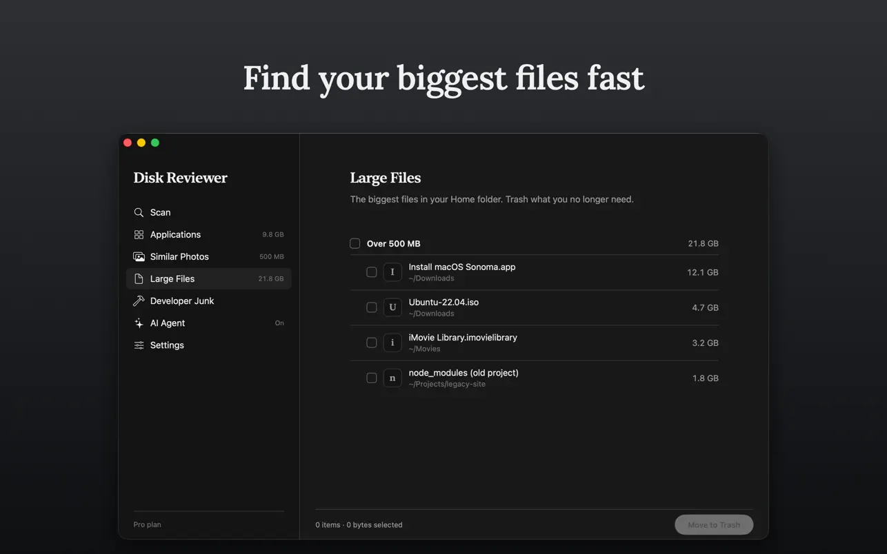 Large Files view showing the biggest files in the Home folder